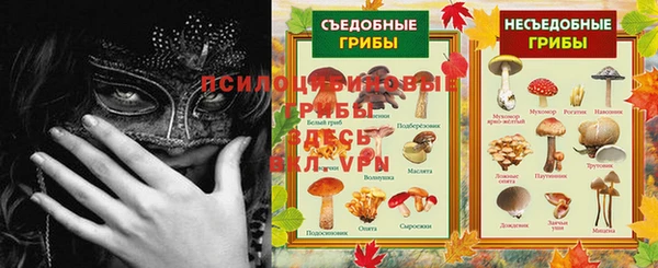 каннабис Алзамай